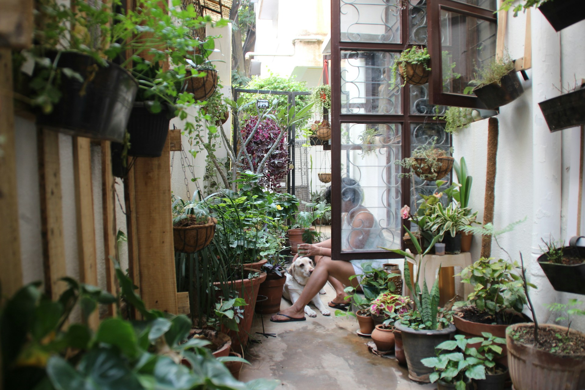 Zo maak je een gezellige kleine tuin