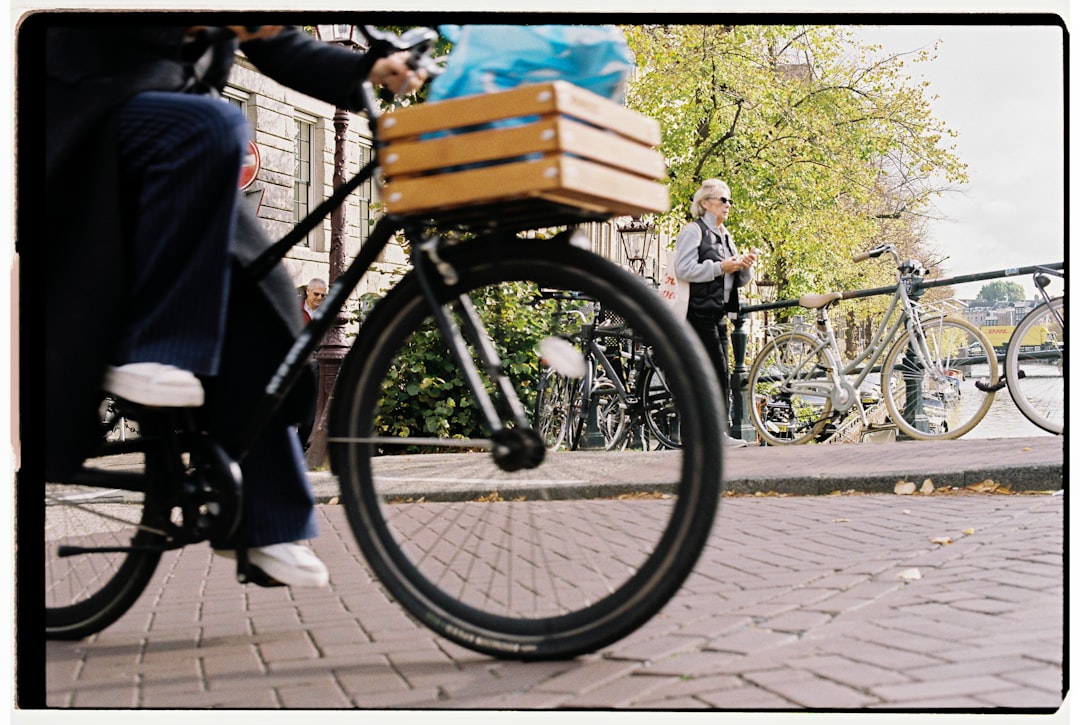 Zonneweerder scherm voordelen: Meer comfort en bescherming in huis en tuin